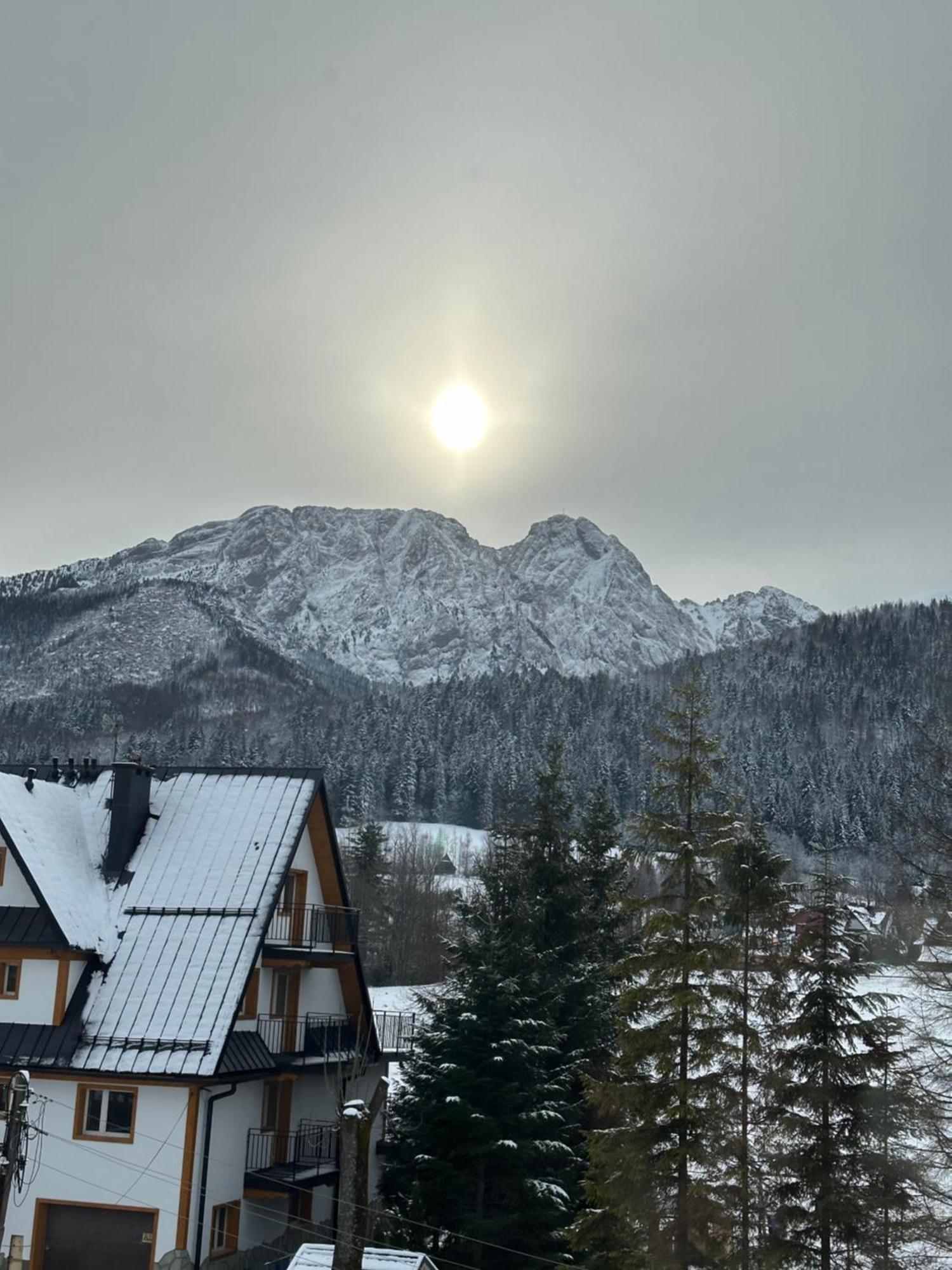 Willa Szafran Zakopane Extérieur photo