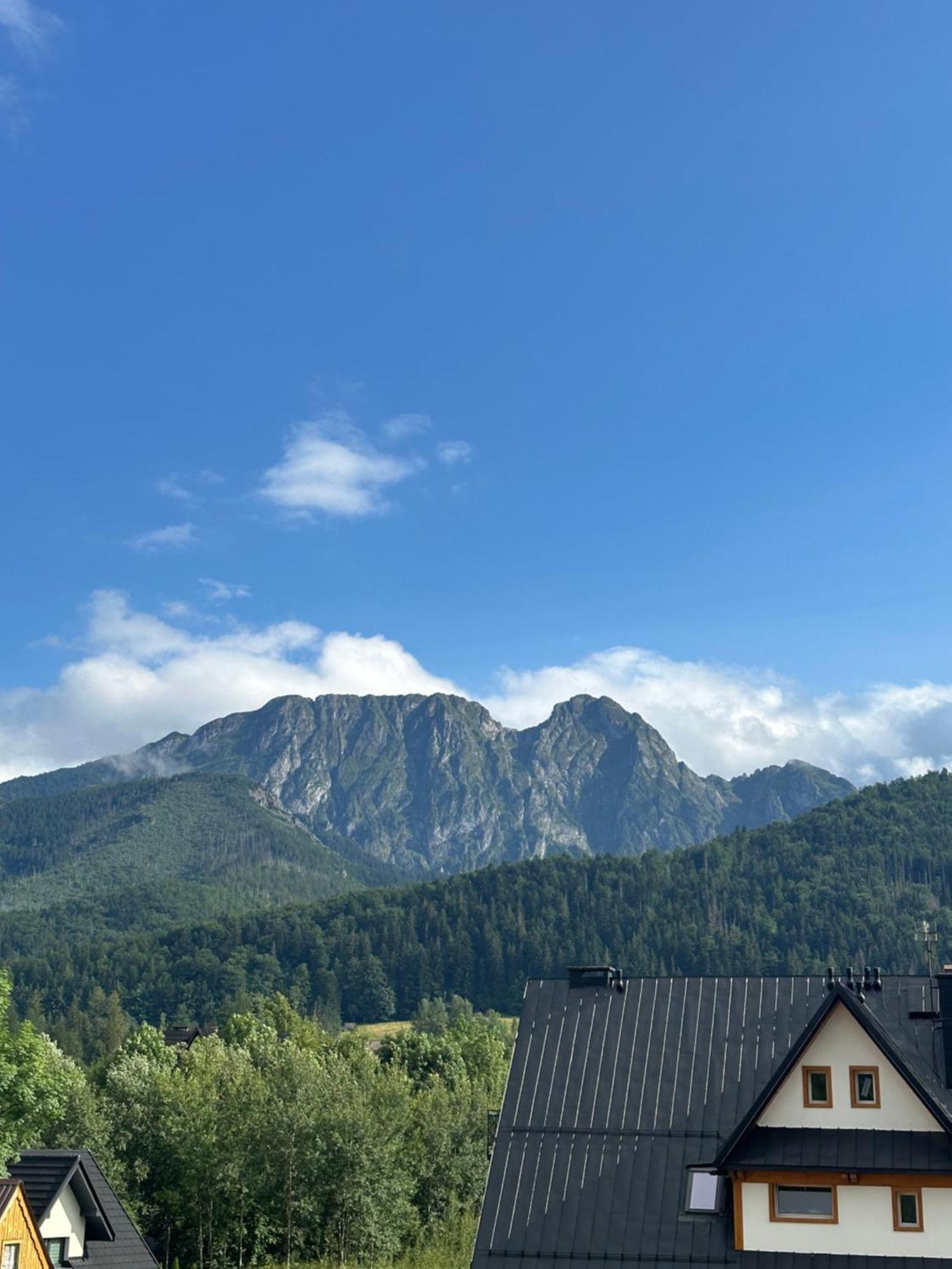 Willa Szafran Zakopane Extérieur photo